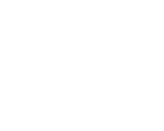 checklist icon